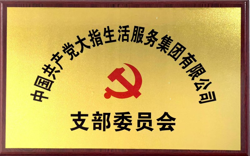大指公司黨支部委員會